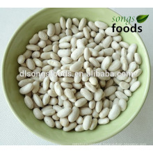 white kidney beans soya bean